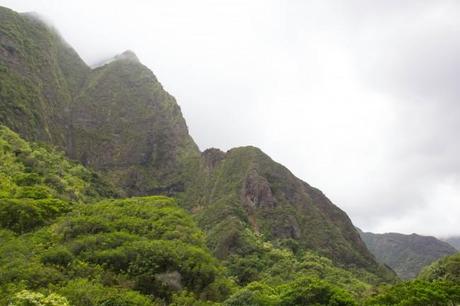 IMG 2748 650x433 Maui: Iao Valley