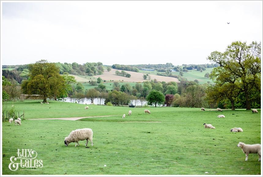 Caroline & Steve are Engaged! | Yorkshire Wedding Photography