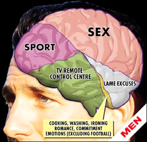 mens-brains