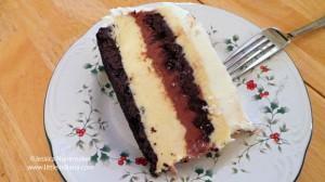 Homemade Ice Cream Cake Recipe