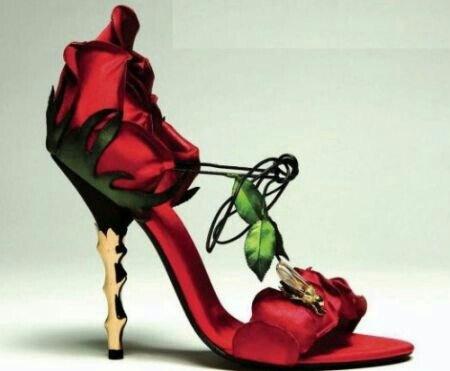 rose-shoes