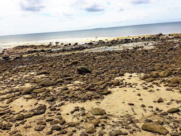 Beach pebbles