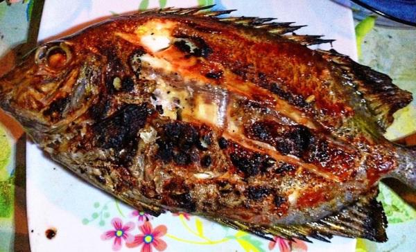 Grilled fresh fish