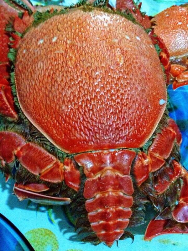 Crab