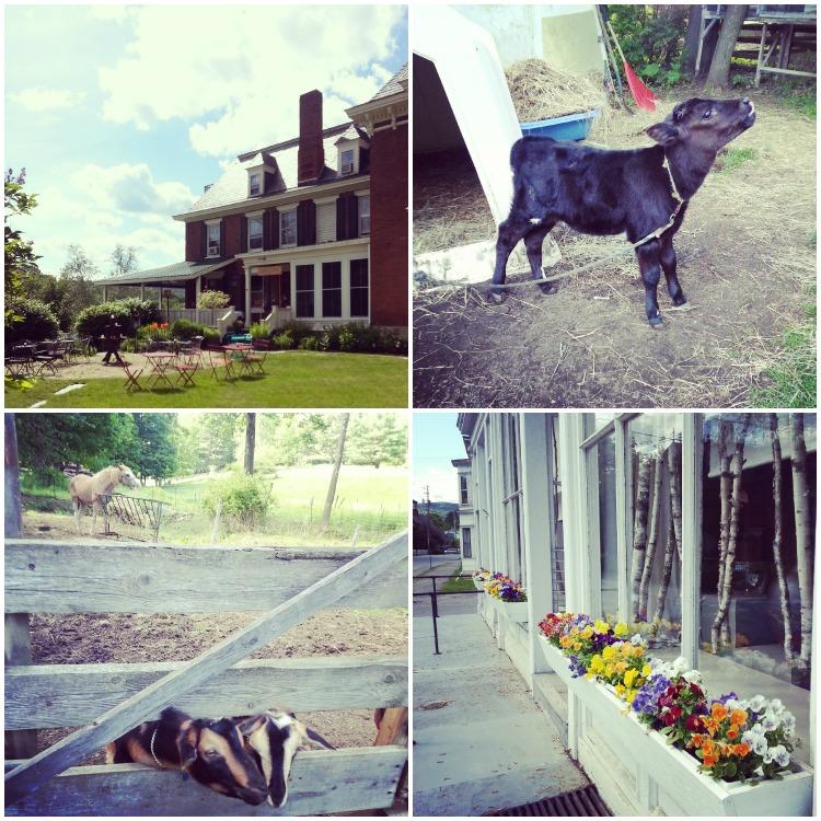 {GBF Life + Travel} New England Weekend-The Good, the Bad, and the Fabulous