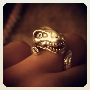 Why would you want a regular ring when this dino ring was available? 
