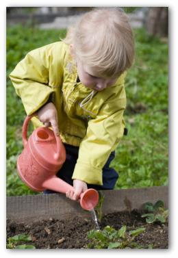 vegetable gardening online.com  The Easiest Family Vegetable Garden