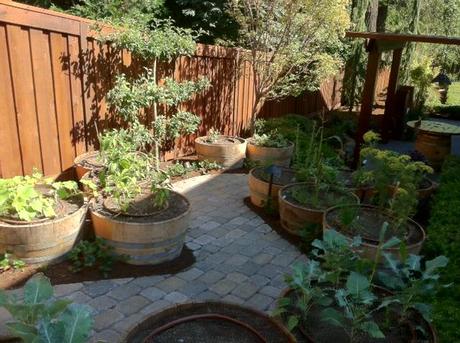 wine barrel vegetable garden street of dreams oregon yes spaces The Easiest Family Vegetable Garden