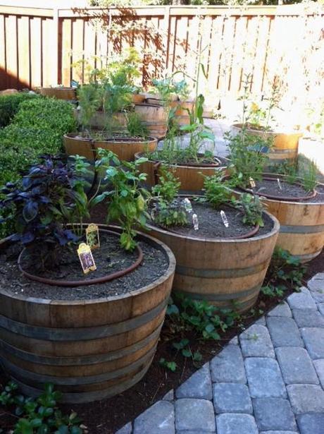 yes spaces raised bed wine barrel vegetable garden The Easiest Family Vegetable Garden