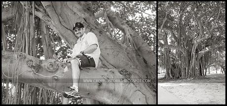 man in tree in florida