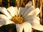 Nice, Just Share/An Accurate Message