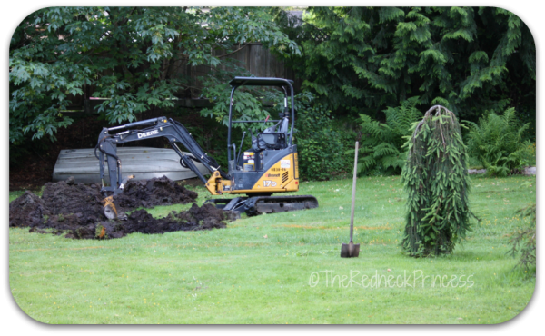 Digger in backyard