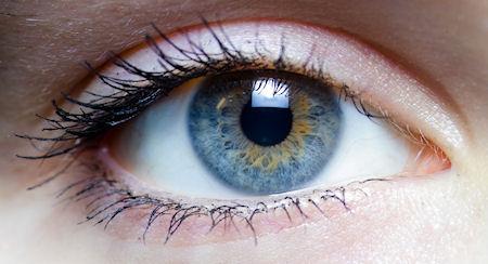 New Human Body Part Discovered