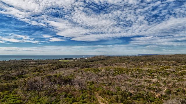 quarantine station from monash light tower lookout