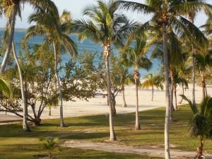 abaco beach resort, room view