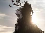 World Party Planning Guide