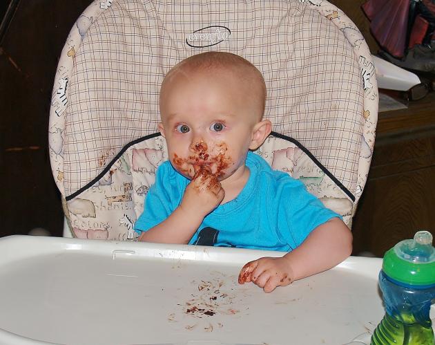 Rocket eating biscuit doughnuts