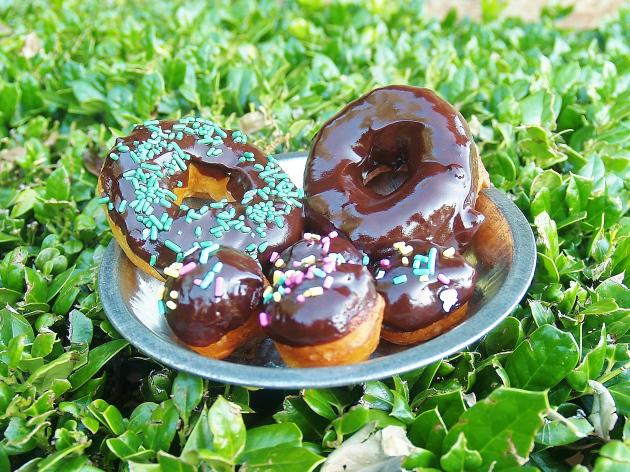 biscuit doughnuts