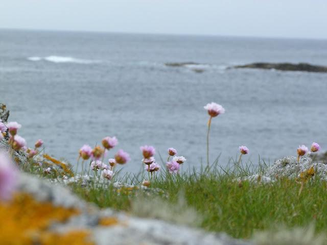 165/365 A few days on Tiree