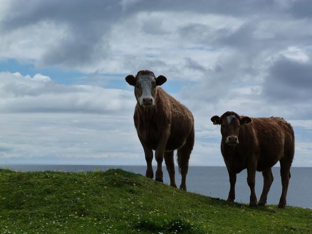 165/365 A few days on Tiree