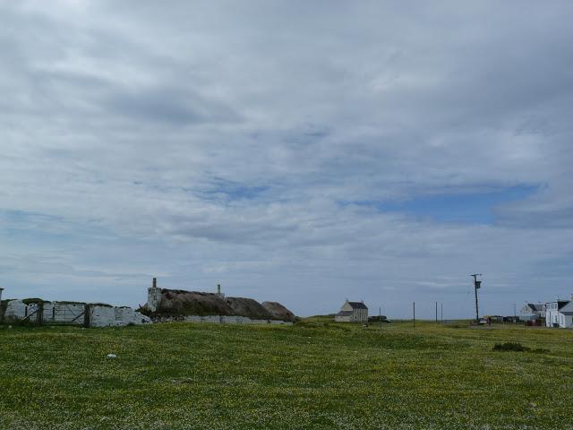 165/365 A few days on Tiree