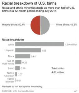 CENSUS WHITE MINORITY