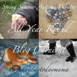 All Year Round Blog Carnival {Summer}