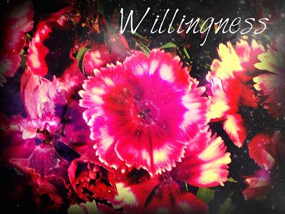 Willingness - Thought for the Week - 52 weeks of Colour