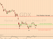 Gold Miners Stock Market Update, Outlook Forecast Week June