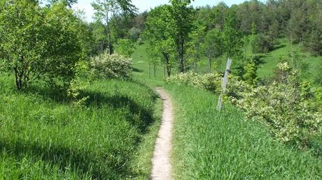 meadow hiking trail - forks of the credit provincial park -  caledon - ontario