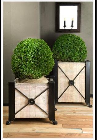 Current Obsession-French Planters!