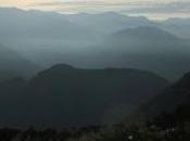 Beginnings Taiwanese High Mountain Overlooked Tea- Shan