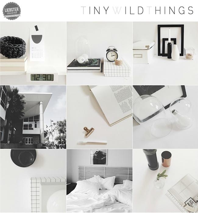 Tiny Wild Things