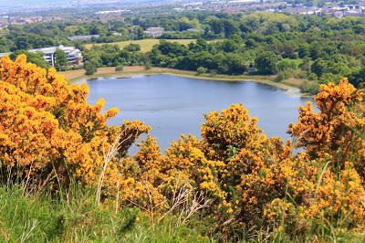 Arthur Seat