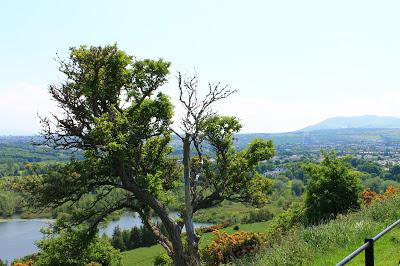 Arthur Seat