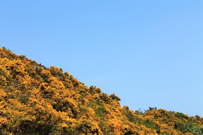 Arthur Seat