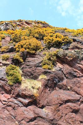 Arthur Seat