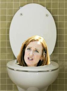 flush Kathleen Rice