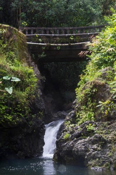 IMG 2848 400x600 Maui: Road to Hana