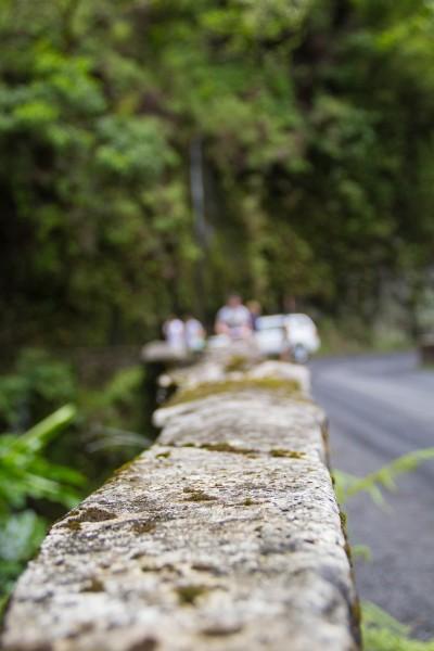 IMG 2860 400x600 Maui: Road to Hana