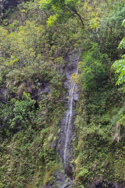 IMG 2866 400x600 Maui: Road to Hana