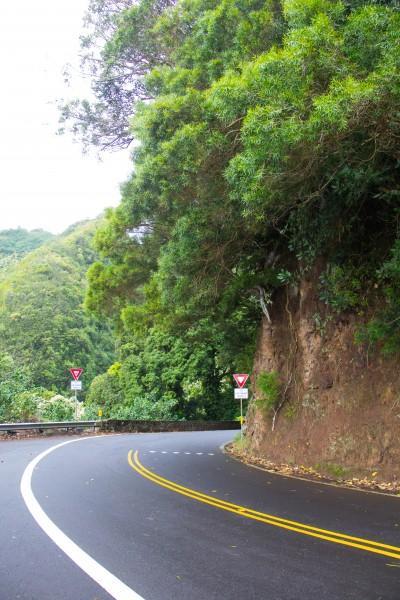 IMG 2816 400x600 Maui: Road to Hana