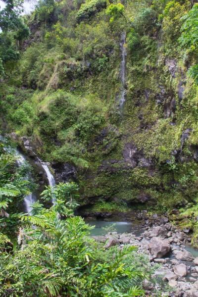 IMG 2871 400x600 Maui: Road to Hana