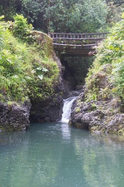 IMG 2845 400x600 Maui: Road to Hana