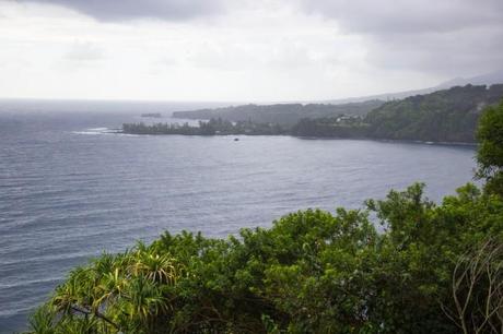 IMG 2812 650x433 Maui: Road to Hana