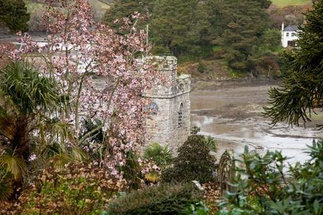 countryside wedding in Cornwall Evolve Photography (3) countryside wedding in Cornwall by Evolve Photography blog (3)