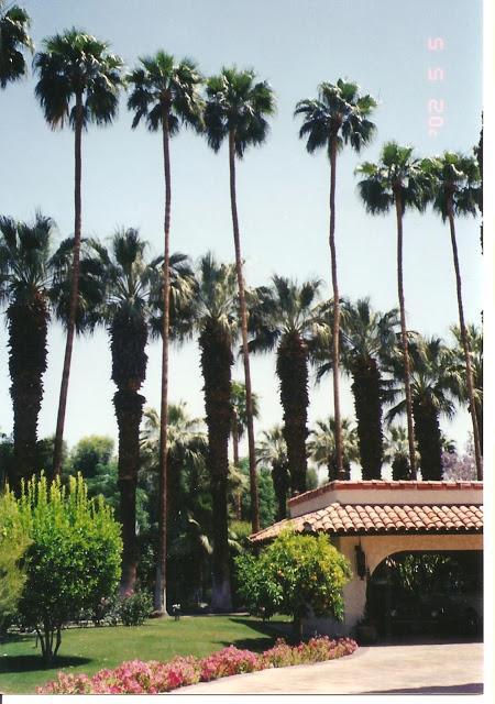 Never before seen photos of Maybelline Heir, Bill Williams, Palm Springs Estate, Casa De Guillermo