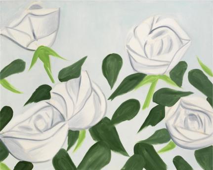 white roses 1, 2011
