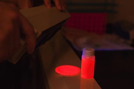 Researchers use a black light to show the photo-luminescence of their silicon nanoparticles. (Credit: Mary Levin, University of Washington)