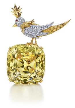 Tiffany diamond in Schlumberger Bird on a Rock setting